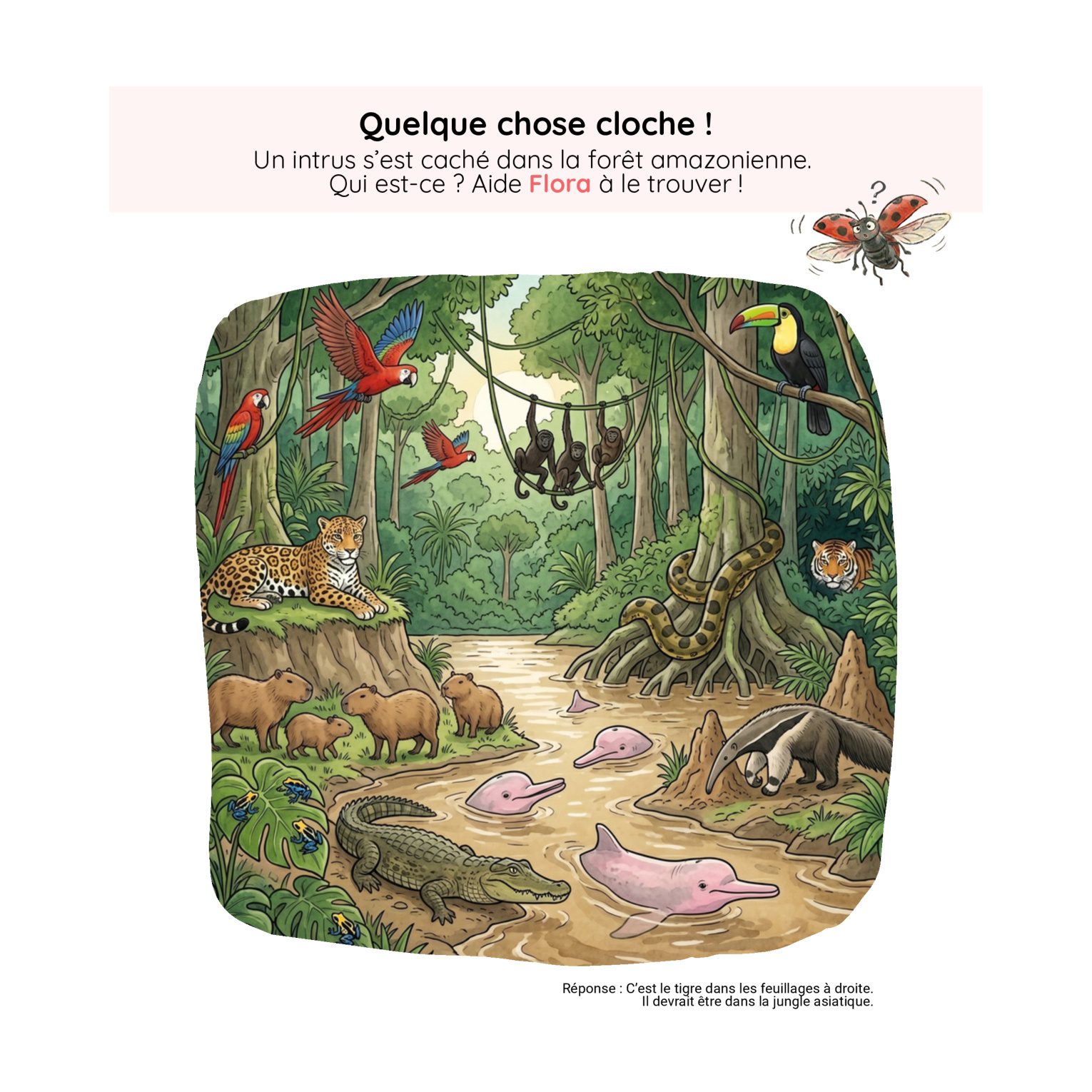 Défi — Quelque chose cloche !