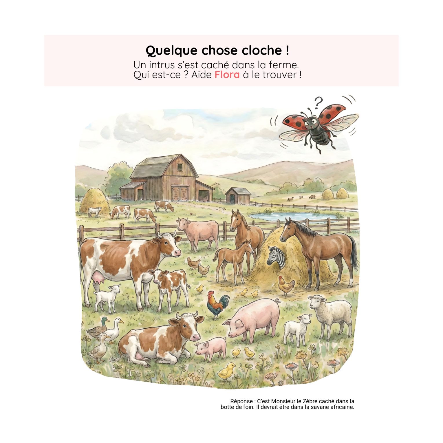 Défi — Quelque chose cloche !