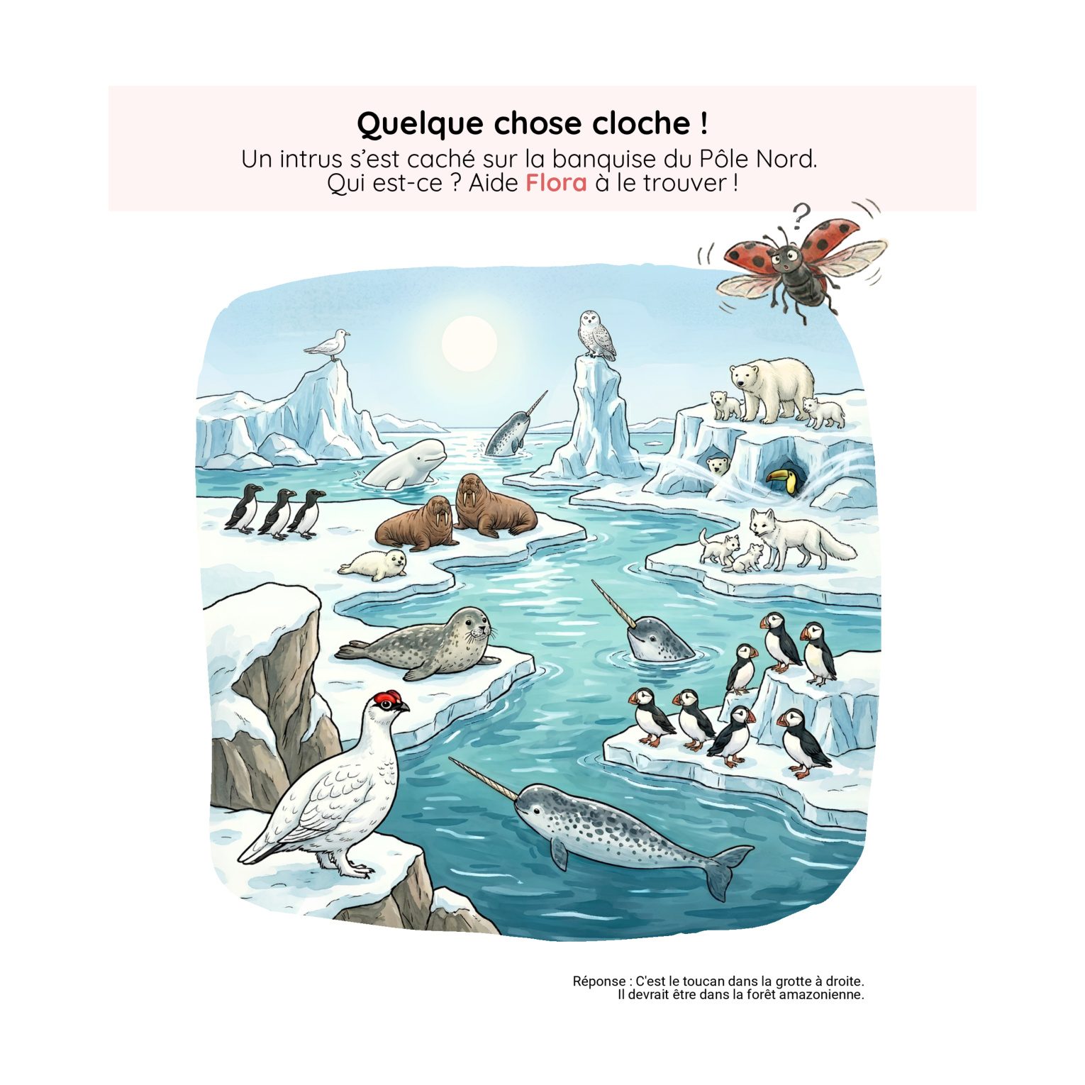 Défi — Quelque chose cloche !