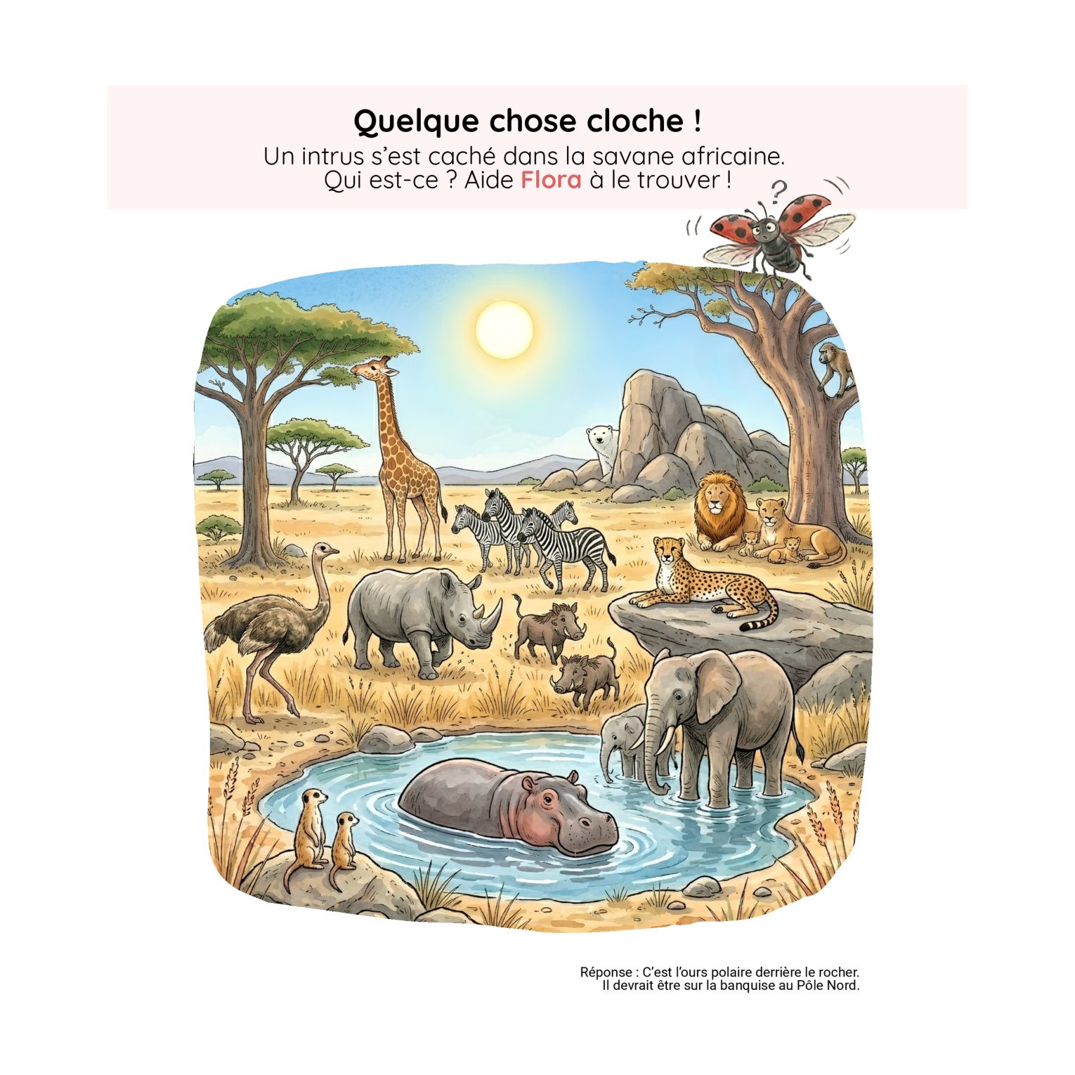 Défi — Quelque chose cloche !