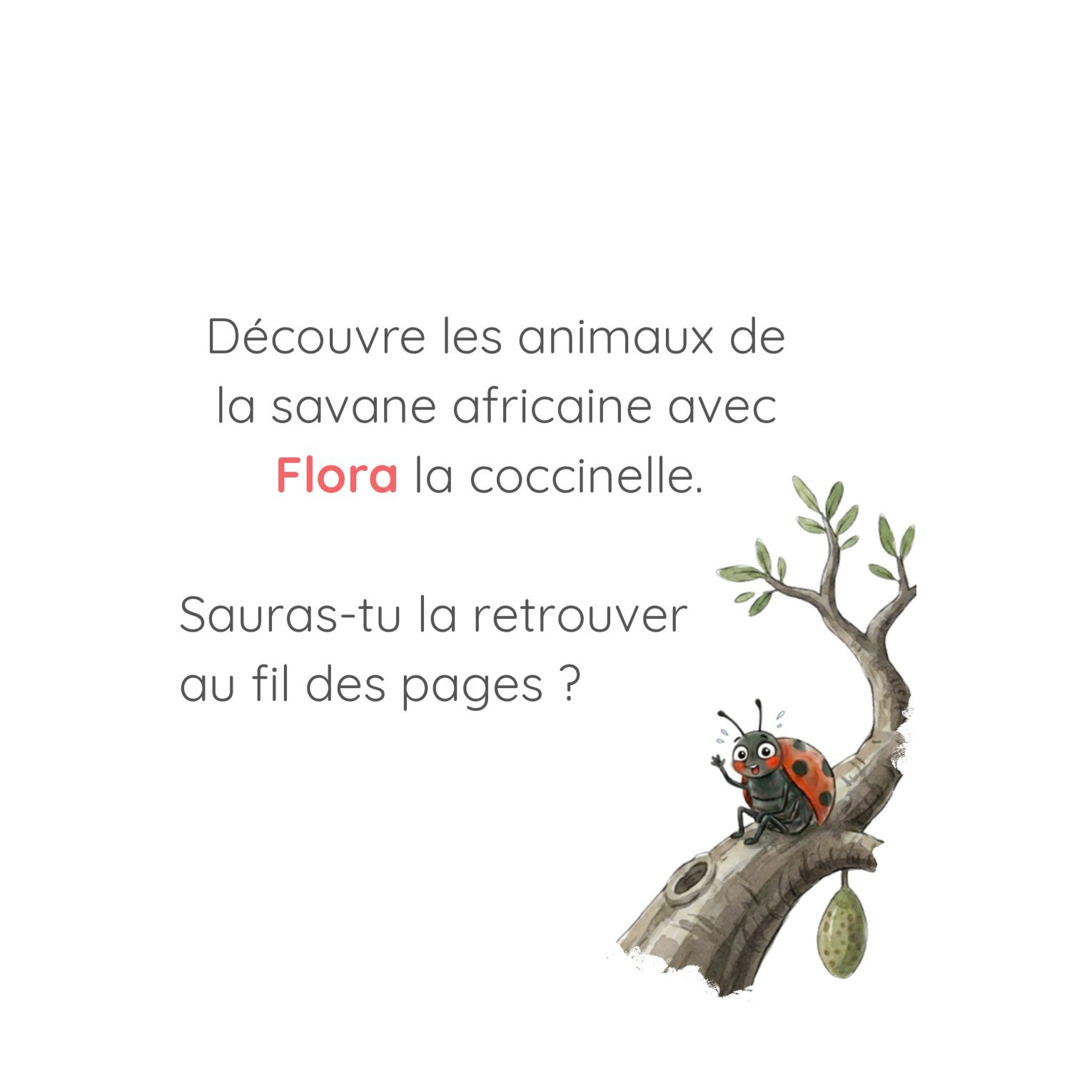 Page d'introduction