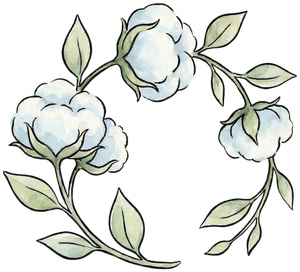 Éditions Coton Jeunesse